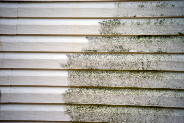 Best Carpet Removal and Disposal  in Hayward, CA